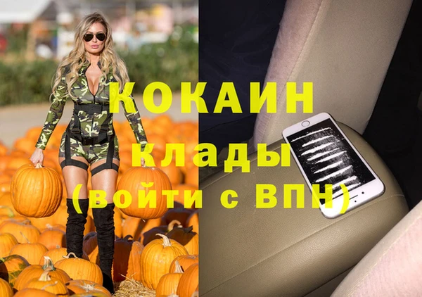 хмурый Белокуриха
