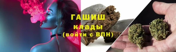 хмурый Белокуриха