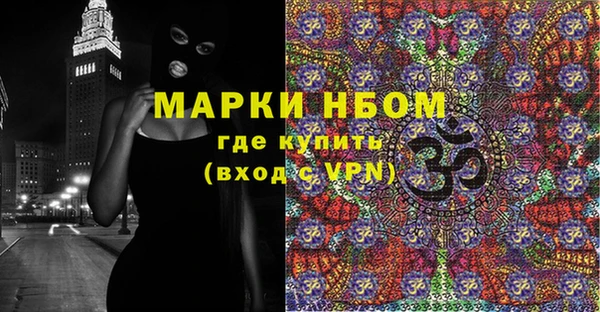 хмурый Белокуриха