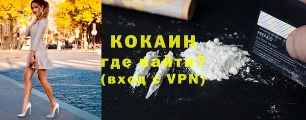 хмурый Белокуриха